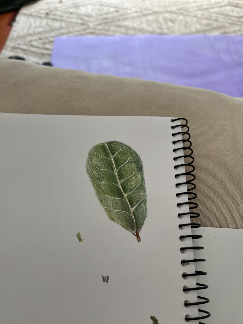leaf1