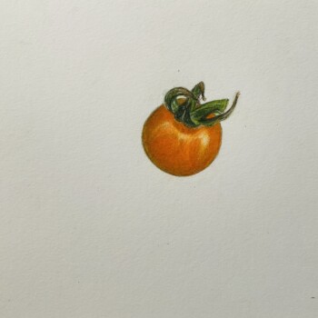 cherry-tomato-7