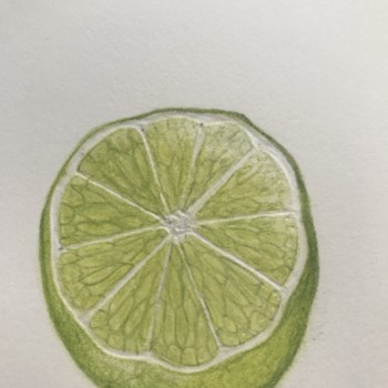 lime-half