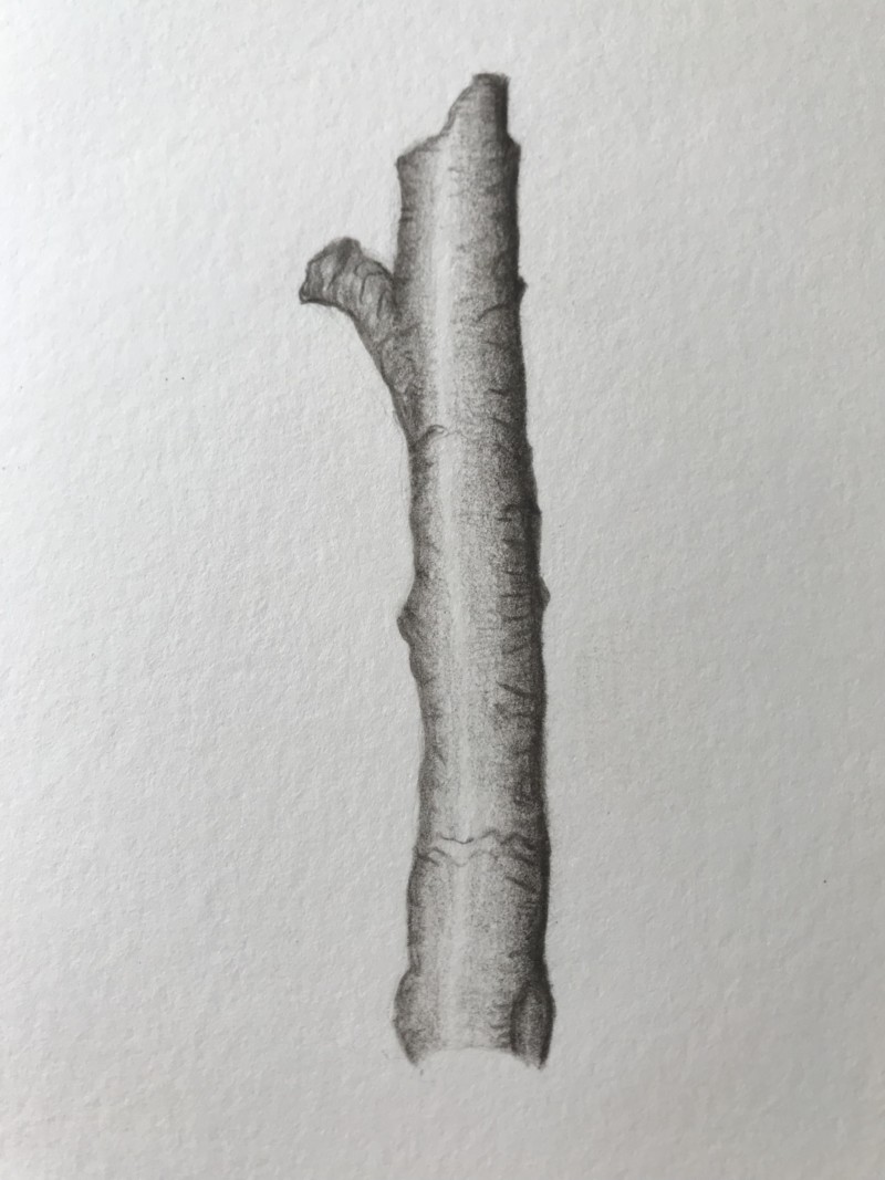 my-first-branch-slc