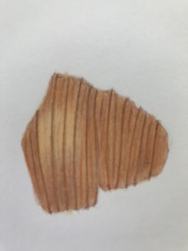 onion-skin-4