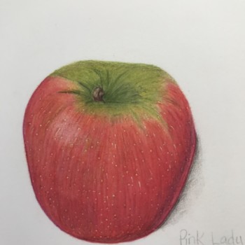 pink-lady