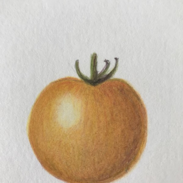 Tomato No