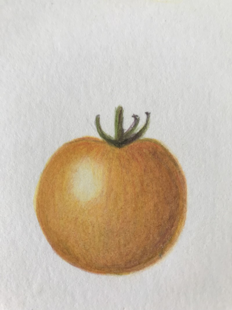 tomato-no