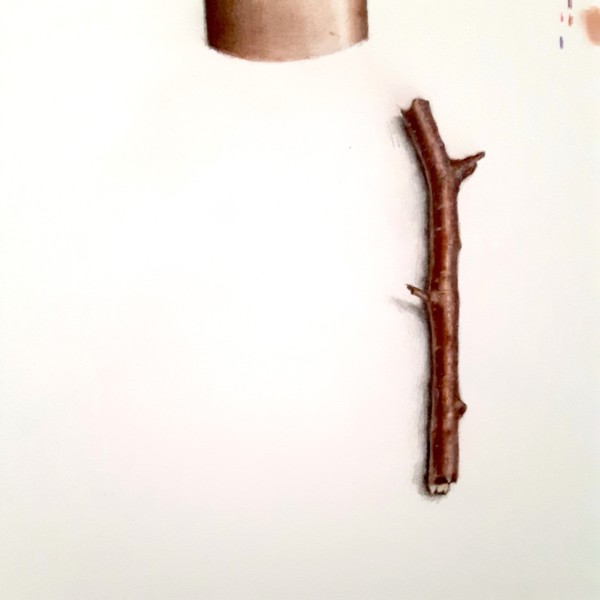 branch final version