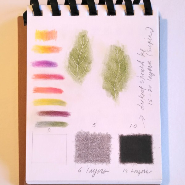 color and value study