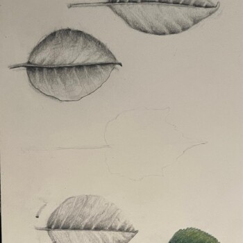 4ee5a481-c159-4fa6-a298-a725fcd07f24