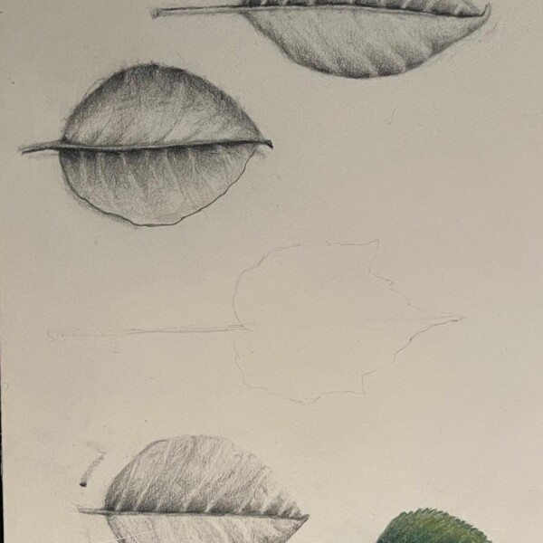 4ee5a481-c159-4fa6-a298-a725fcd07f24