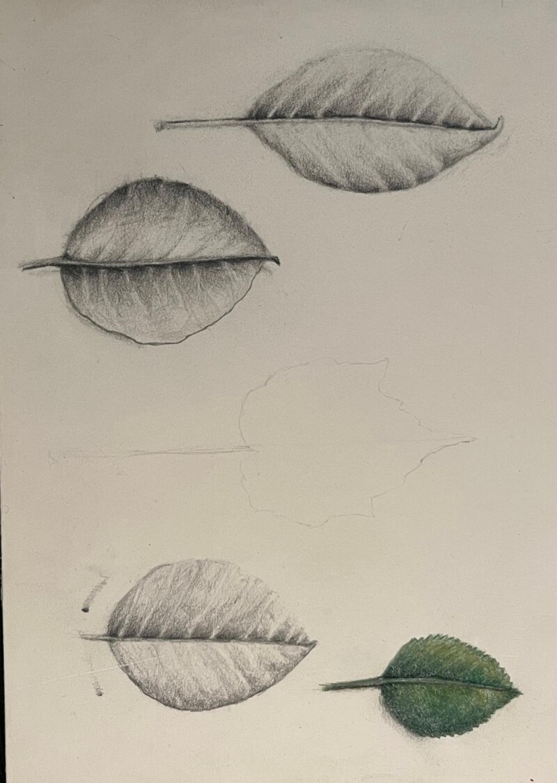 4ee5a481-c159-4fa6-a298-a725fcd07f24