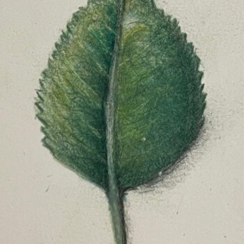 photo-2025-09-23-00-00-25