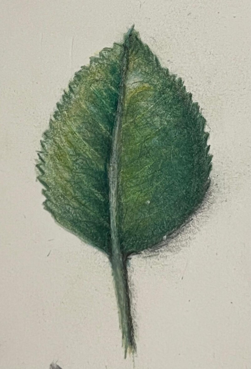 photo-2025-09-23-00-00-25