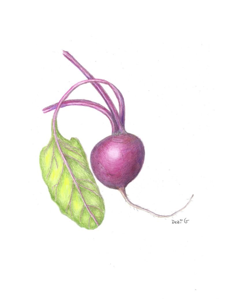 beet-from-root-vegetable-workshop