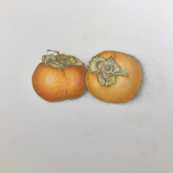 Persimmons