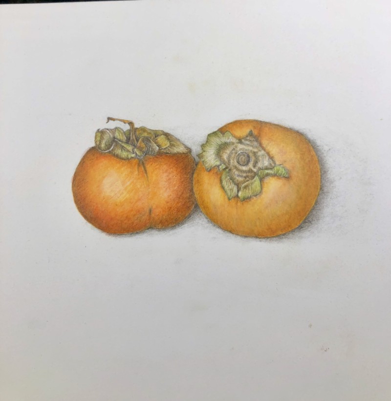 persimmons