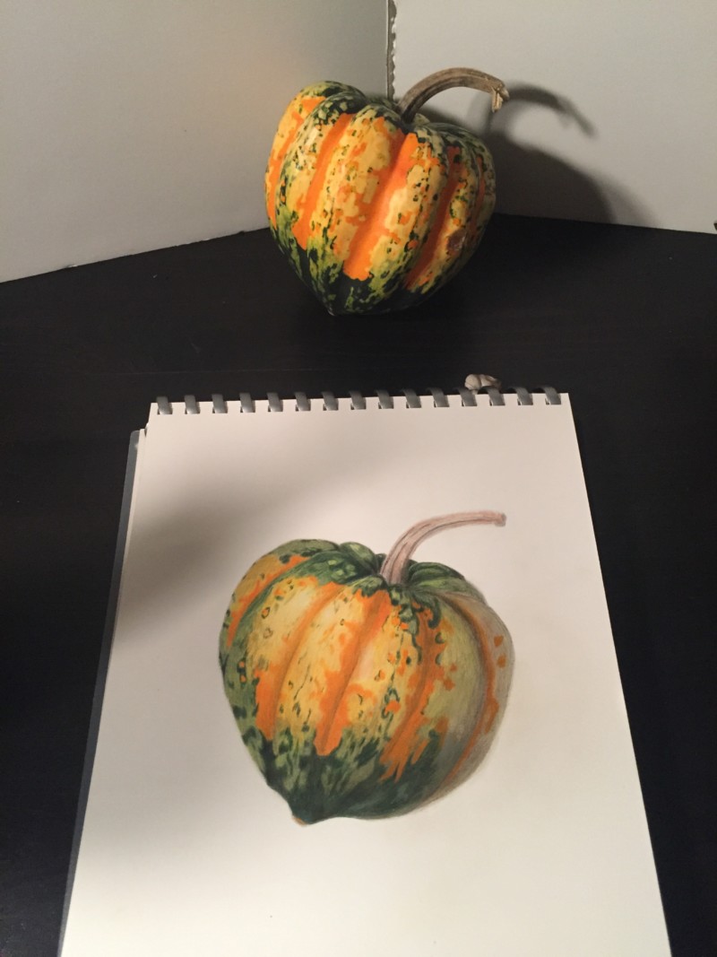 carnival-squash