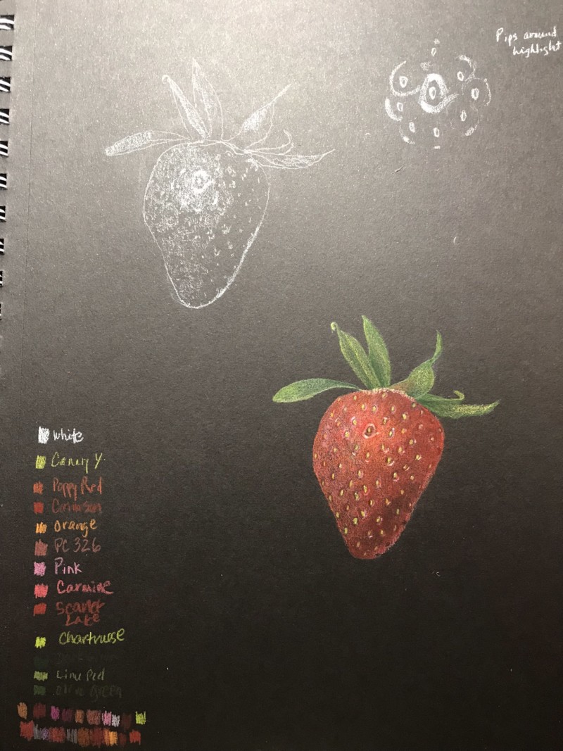strawberry-study-08-19-prismacolor-on-black-miteintes