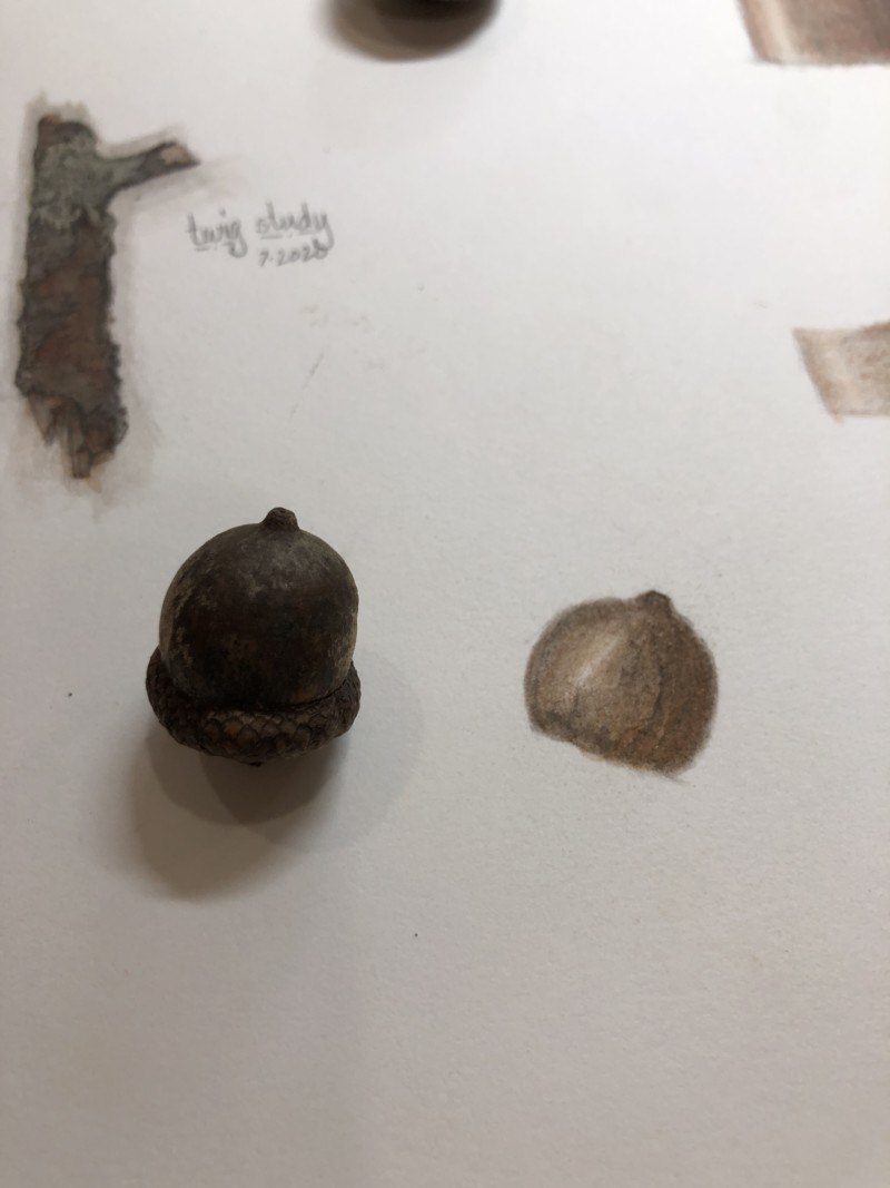 0bd9b8f4-0ddf-410d-b3ae-93024c44e8ca