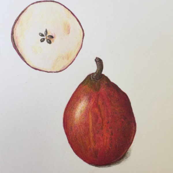 466AEC83-B81C-4642-8476-791A9ADF755B