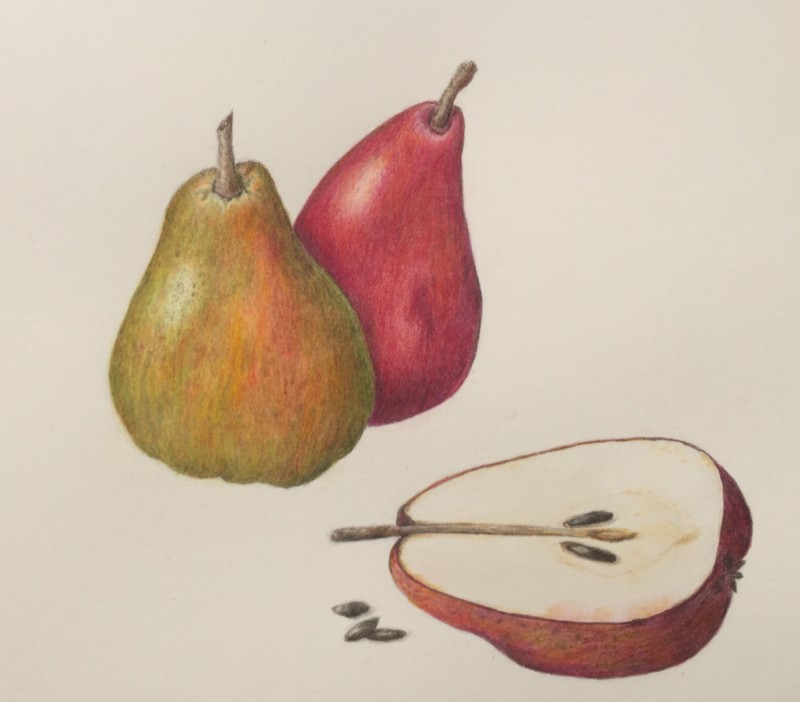 pears