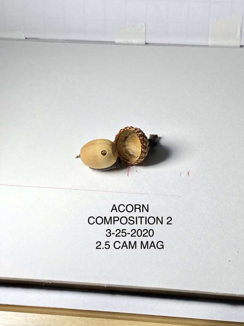 wh-lesson-2-photo-acorn