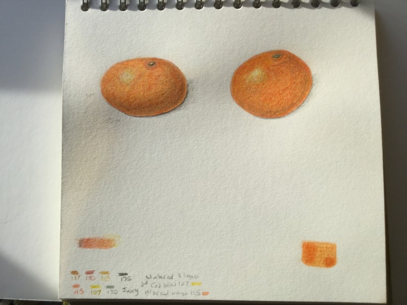 lesson-4-part-1-citrus-fruits