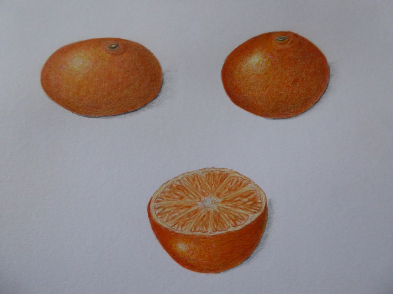citrus-fruits