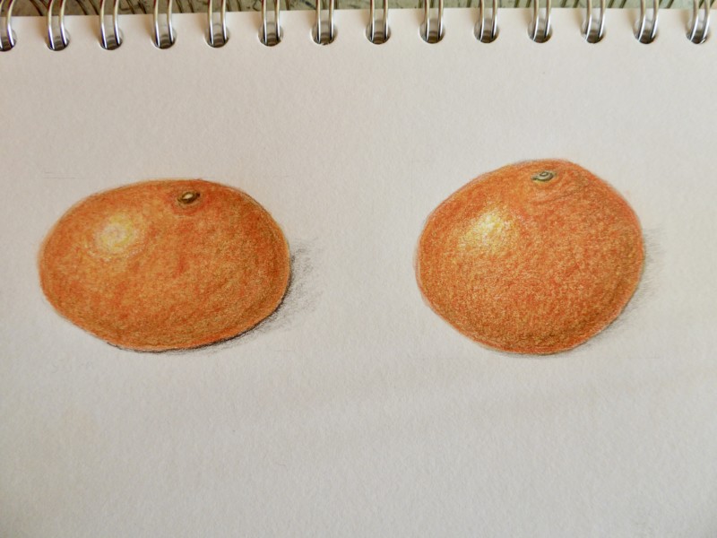 lesson-4-part-1-another-photo-of-citrus-fruits