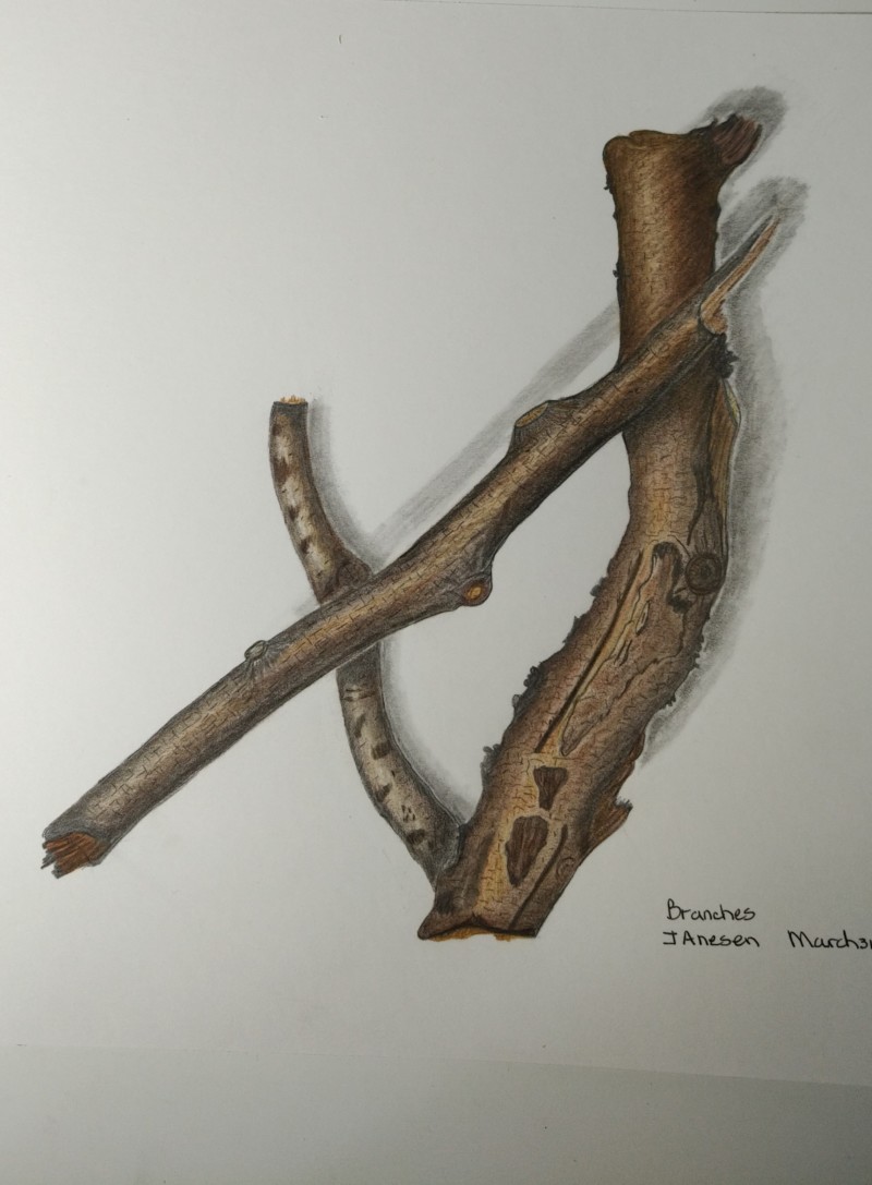 multiple-branches