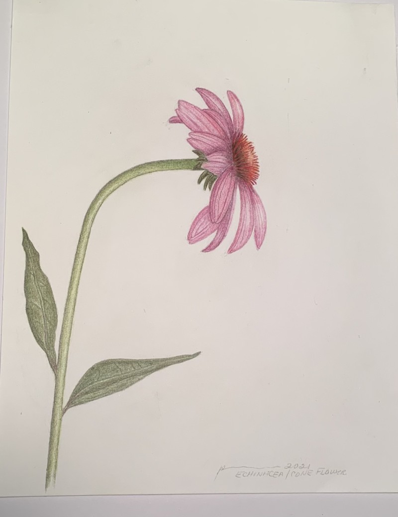 b3c0479a-3de6-45ff-99a6-f5ee55a8f107