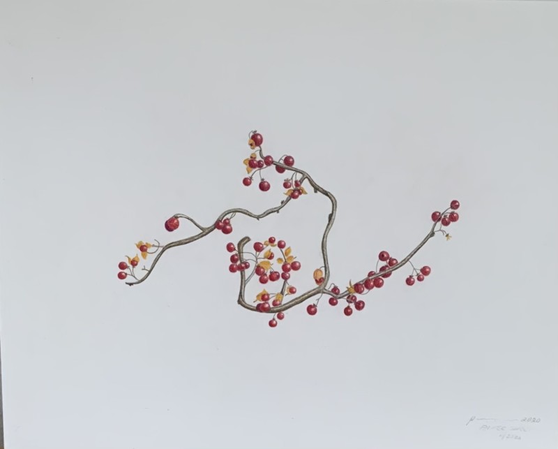 cc6ac496-e617-4739-bfe0-41e5e7a48f8f