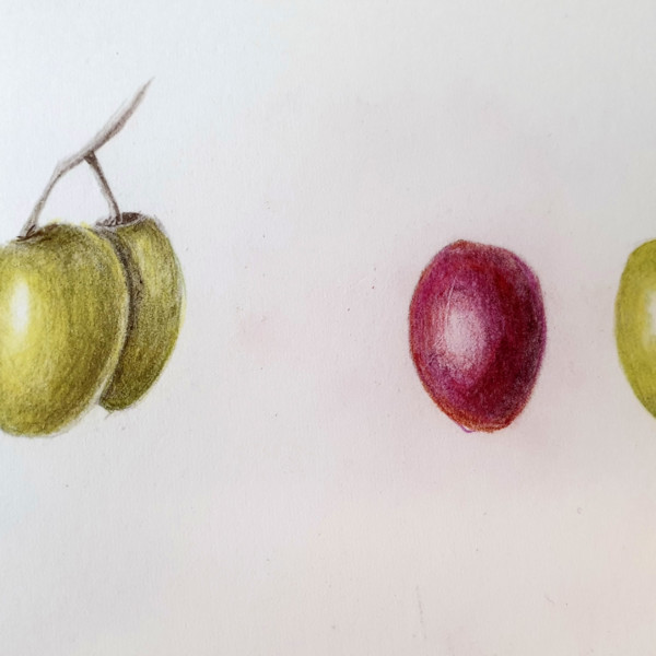 lesson19 small fruits overlaps grapes
