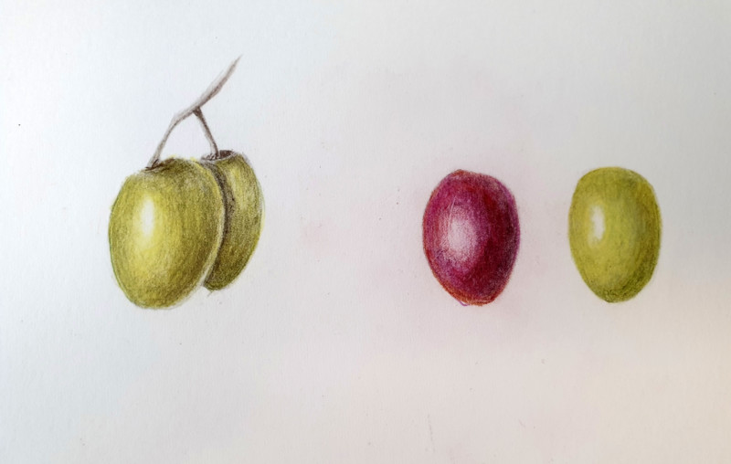 lesson19-small-fruits-overlaps-grapes