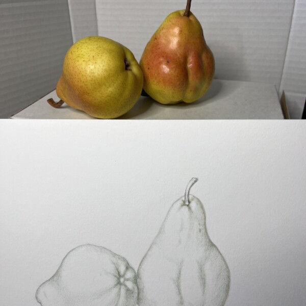 Pears in Earth Green grisaille