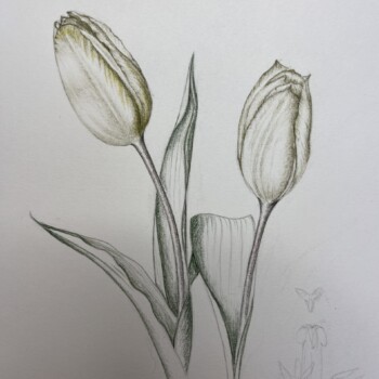 tulips-in-grisaille