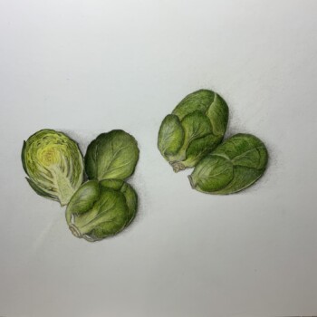 brussel-sprouts-final