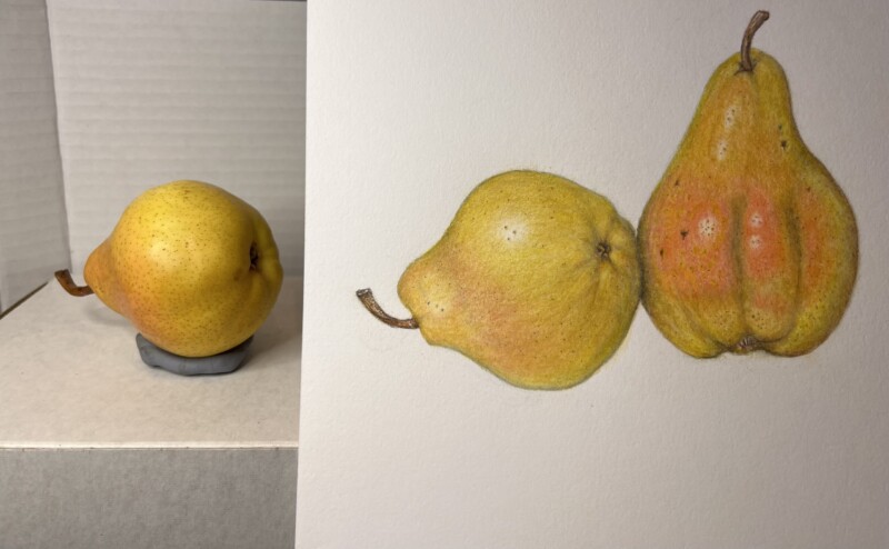 pair-of-pears