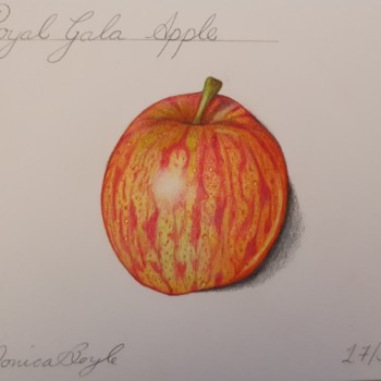 adding-pattern-to-apple