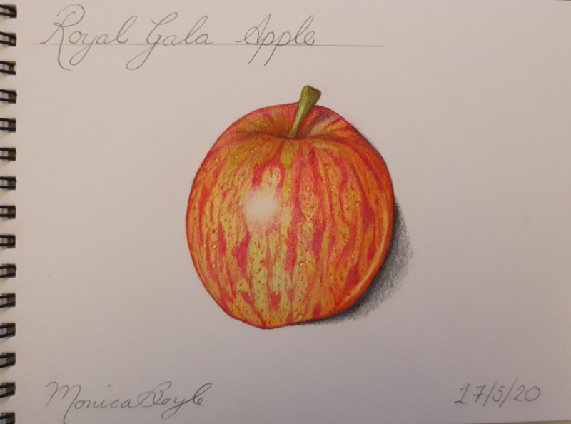 adding-pattern-to-apple