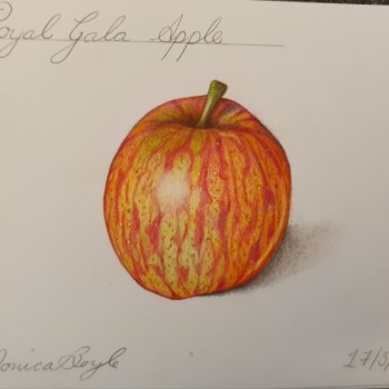 gala-apple-take-2