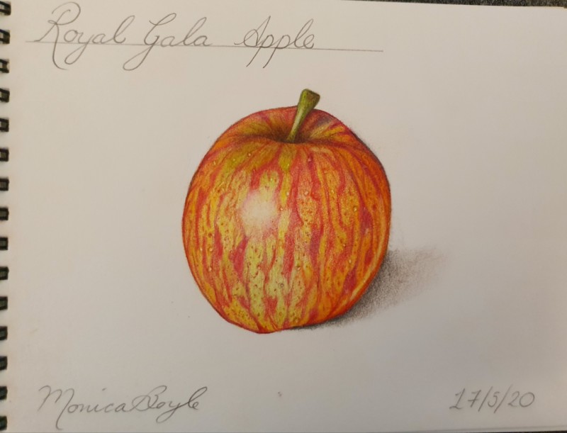 gala-apple-take-2