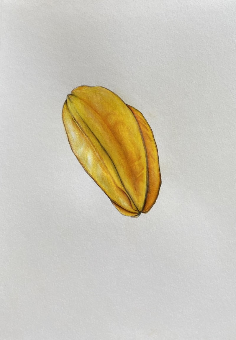 star-fruit