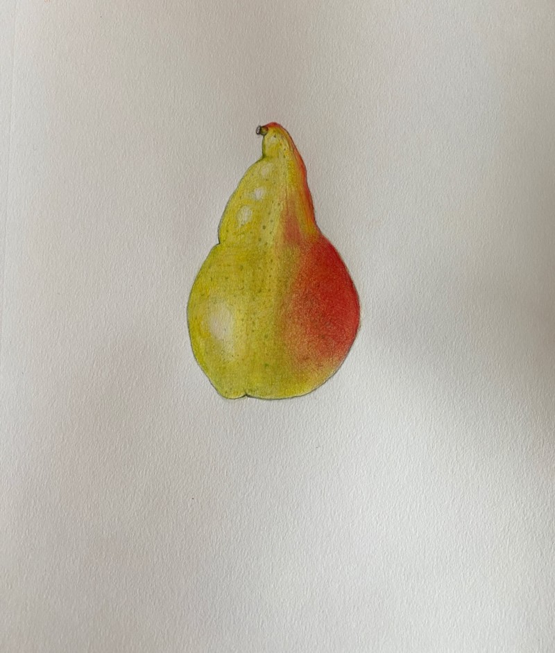 pear-8