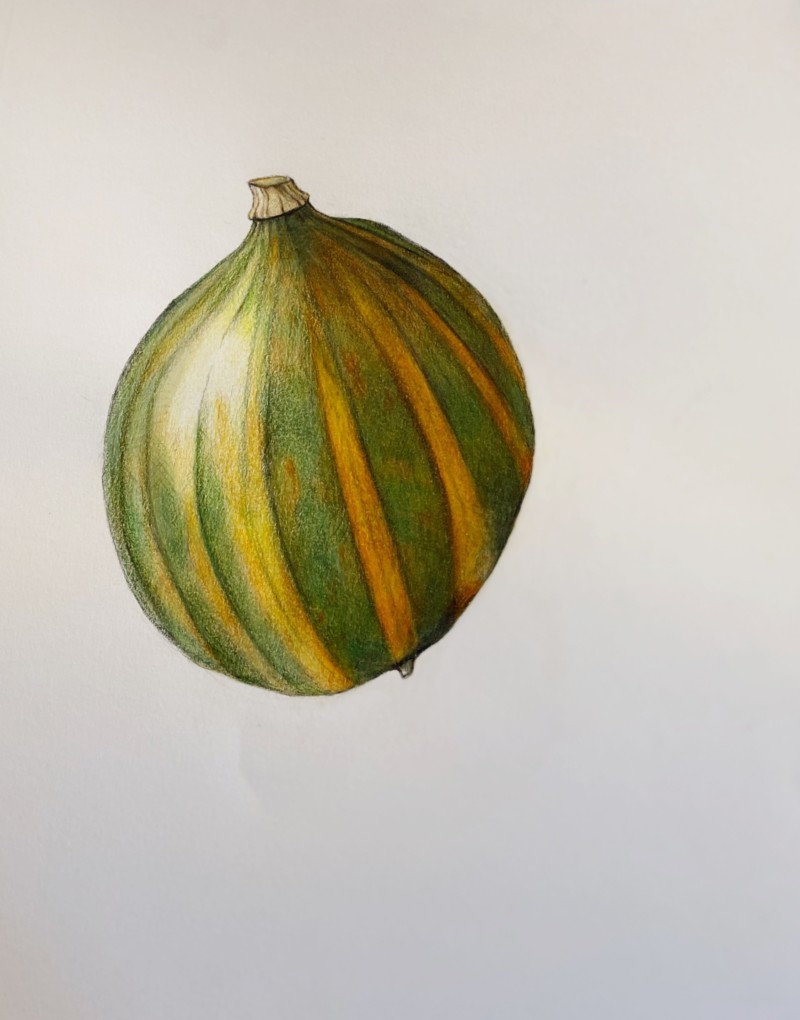 kabocha-squash