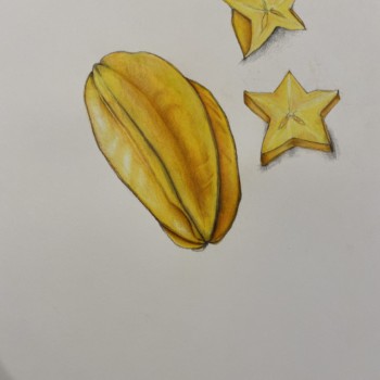 star-fruit-with-cross-section
