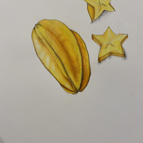 Star fruit with cross section