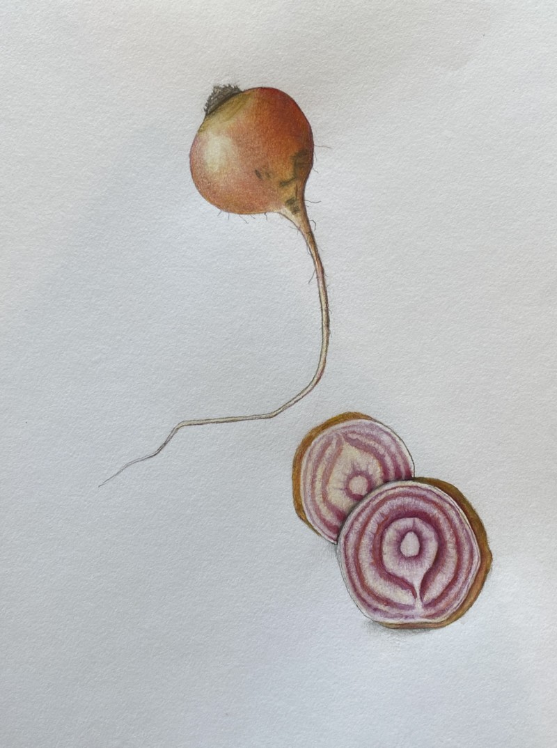 candy-cane-beet