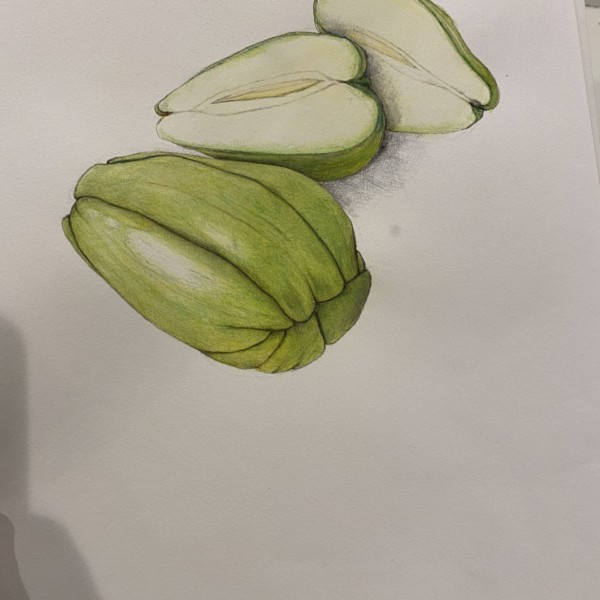 Chayote