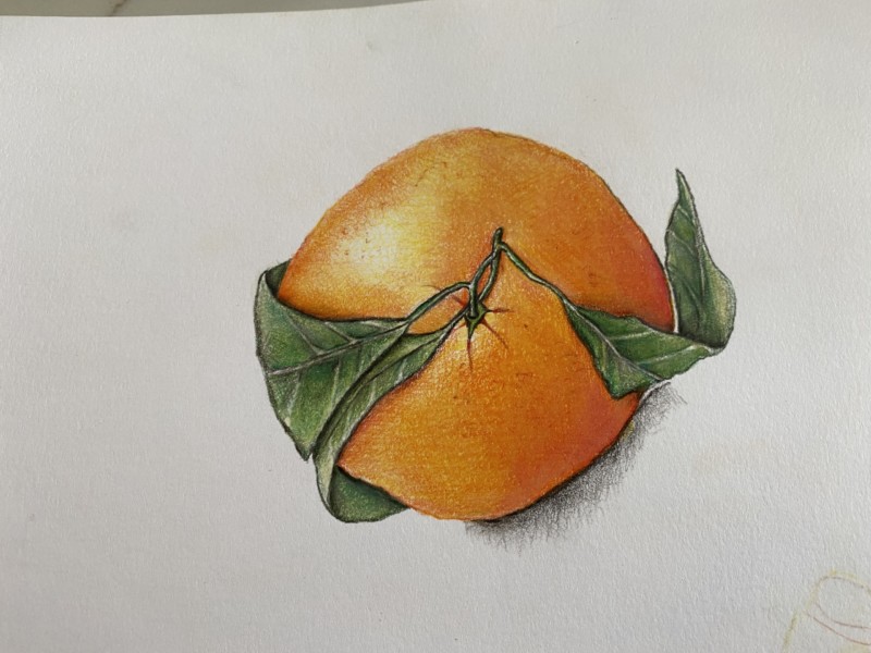 satsuma