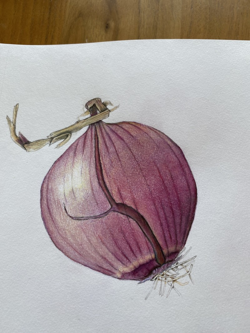 red-onion-5