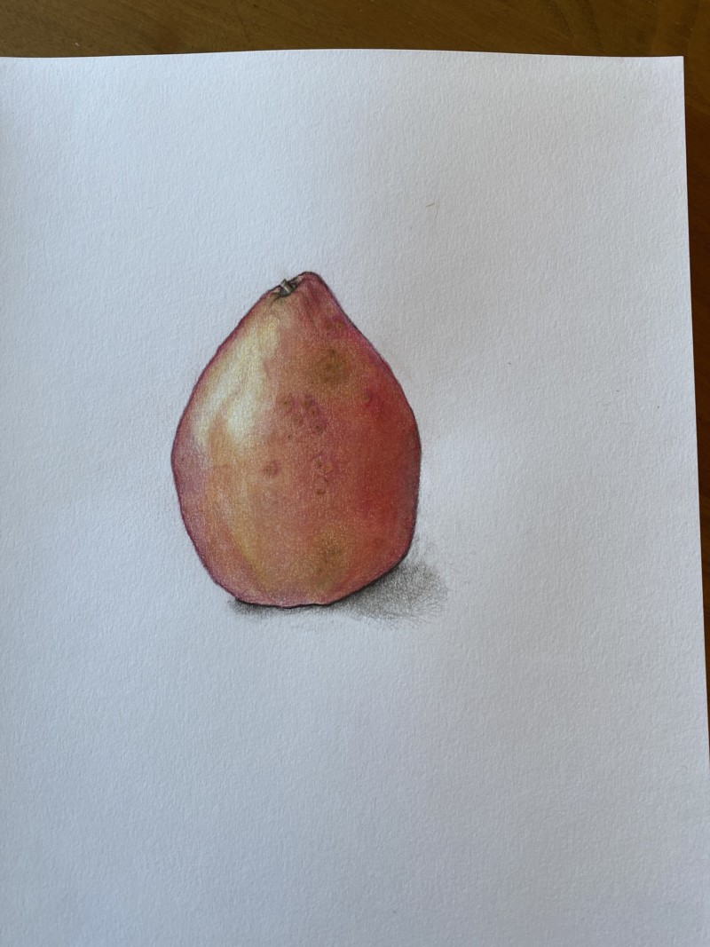 red-pear-2